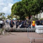 কান উৎসবে গাছ: গুরুতর আহত প্রযোজকের ঘটনা, নিরাপত্তা নিয়ে উদ্বেগ!